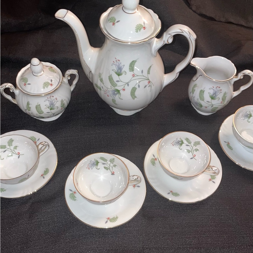 1950’s Vintage Winterling Bavaria Germany 41- 11pc Elegant Floral Tea/Coffee Set